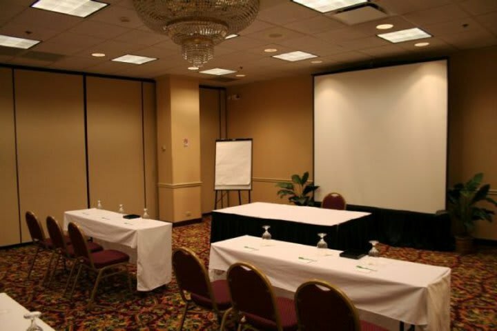 Hotel Holiday Inn Downtown Chicago