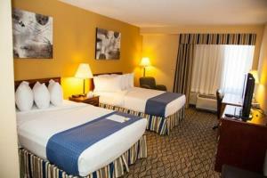 Hotel Holiday Inn Downtown Chicago