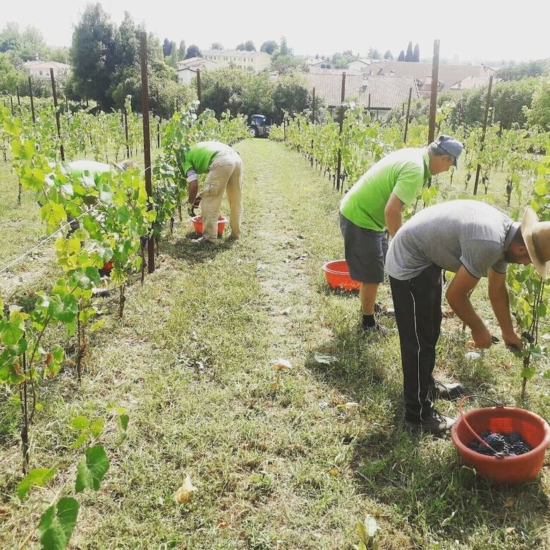 Agroturismo Agriturismo Scacciapensieri
