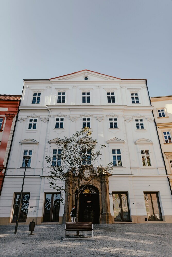 Luxury Apartments Zelny TRH 4