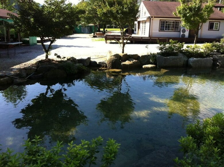 Pension Gold River Castle