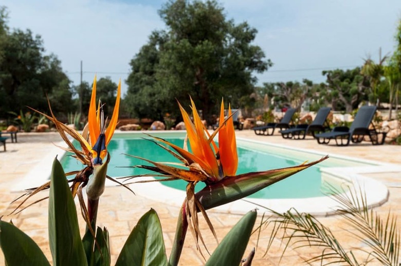 Apartamento Villa Pietra&sole