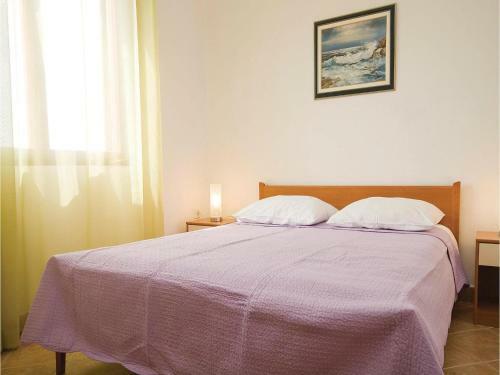 Apartment Bana Jelacica IV