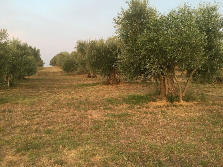 Agroturismo Agriturismo La Lungagnola
