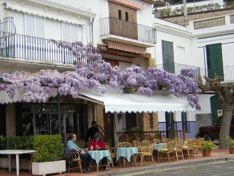 Villa Apartment - 2 Bedrooms - 107297
