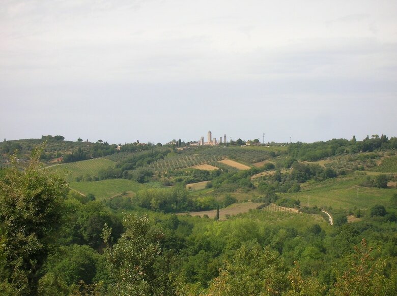 Agroturismo Torraccia Di Chiusi
