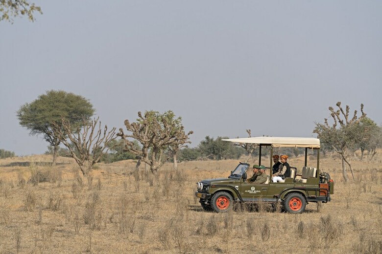 Alsisar Mahal - A Heritage Hotel