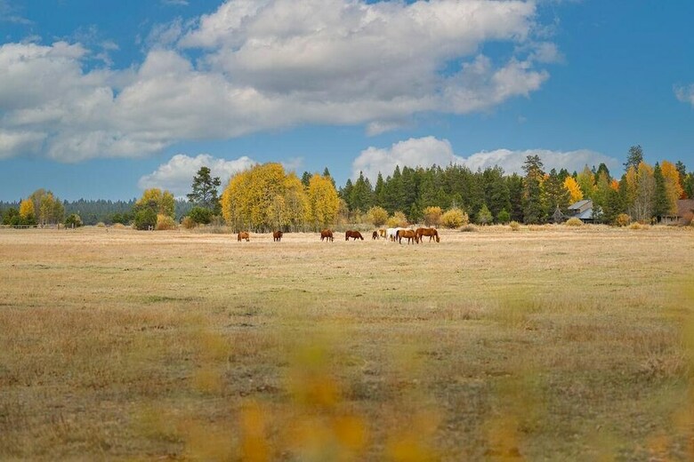 Tamarack Lane 8 By Village Properties At Sunriver