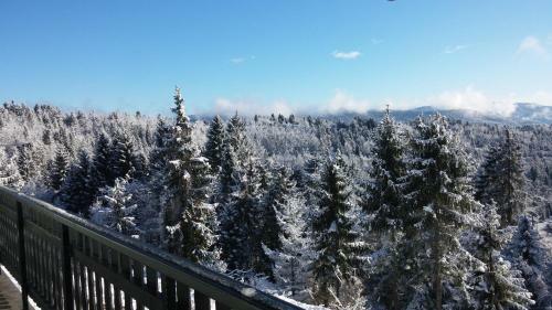 Holiday Home Kozji Vrh