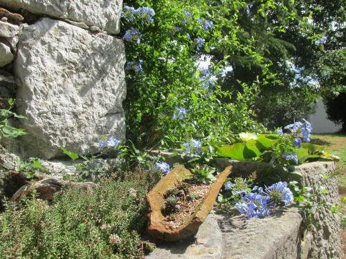 Holiday Home Botanica