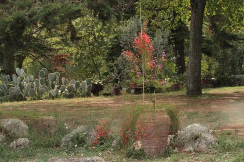 Holiday Home Botanica
