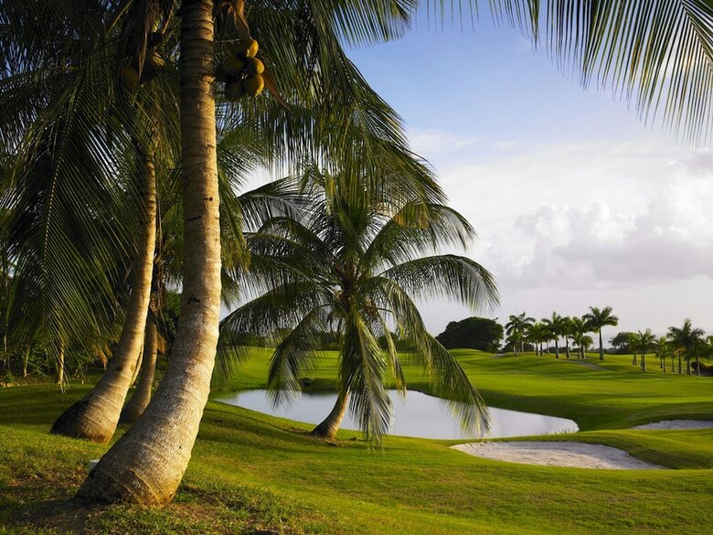 Villa Royal Westmoreland - Happy Days By Blue Sky Luxury