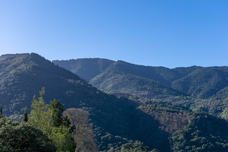 Apartamento Secret Garden Retreats