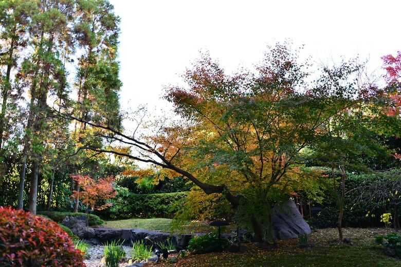 Hotel Fujita Nara