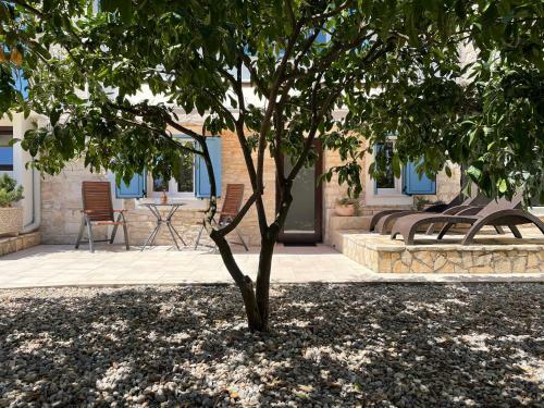 Apartments Nona