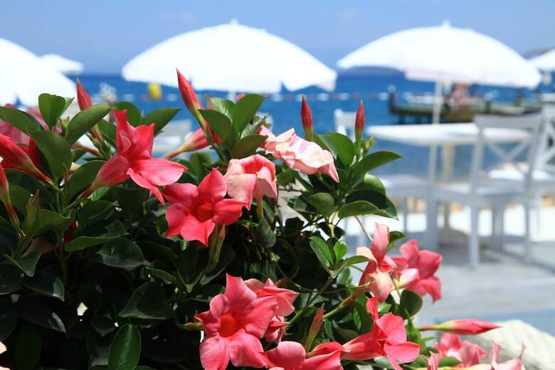 Hotel Grand Yaz?c? Torba Beach Club