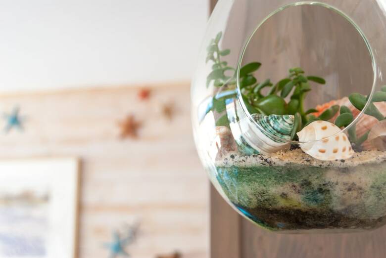 Hotel H�tel La C�te Oc�ane