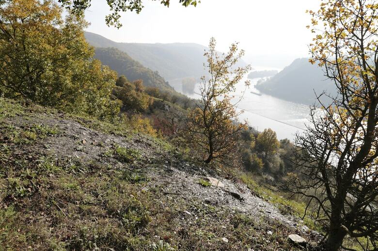 Apartamentos Romantisch Wohnen In Kaub Am Rhein