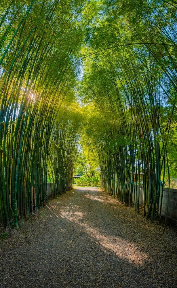 Apartamento The River Resort