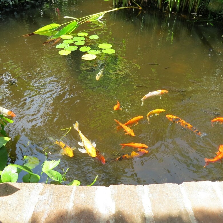 Apartamento The Watergarden