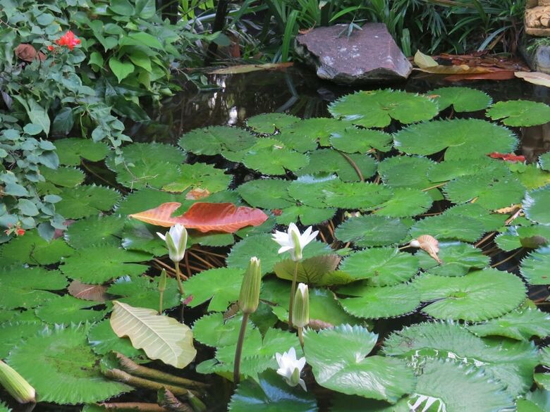 Apartamento The Watergarden