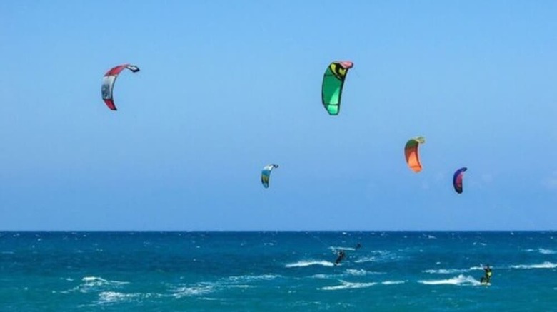 Hostal Funky Fish Beach & Surf Resort - Hostel