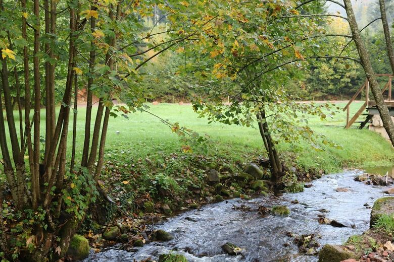 Bed & Breakfast Les Jardins Du Nideck