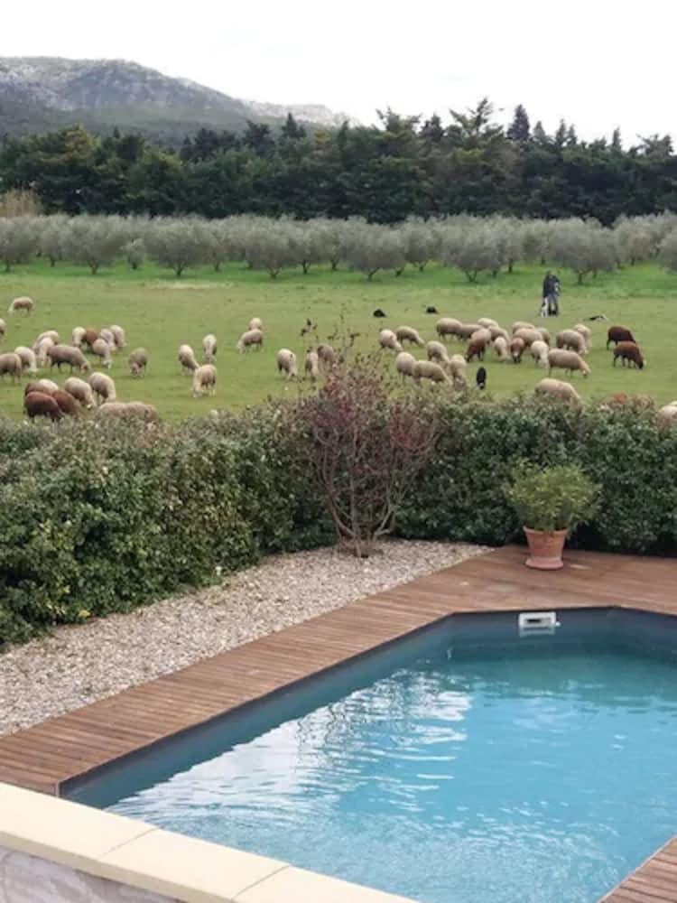 Bed & Breakfast Chambre D'h�tes Mas Lou Solaie