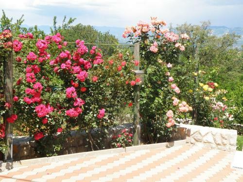 Apartamentos Villa Roze