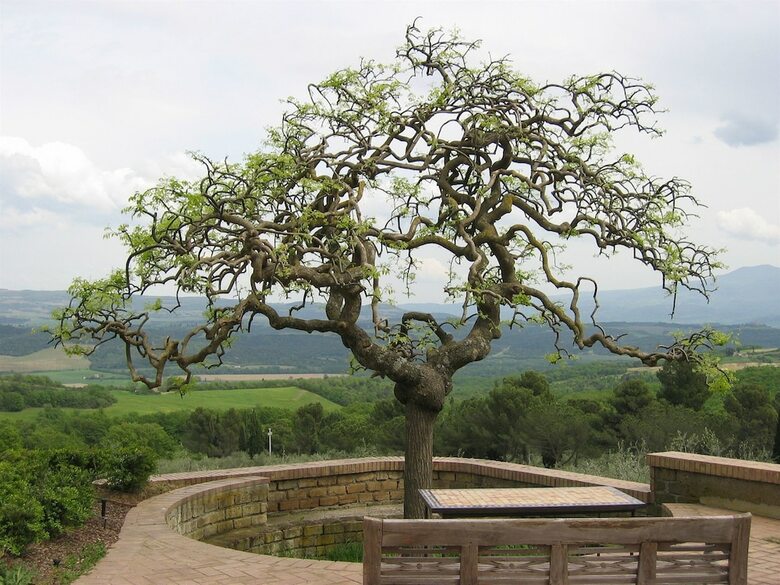 Agroturismo Fattoria Nuova Pievanella