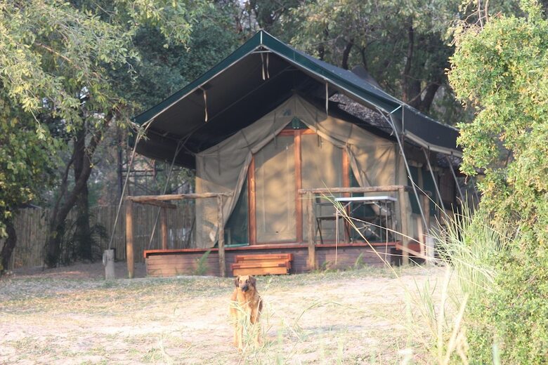 Ndhovu Safari Lodge - Campground