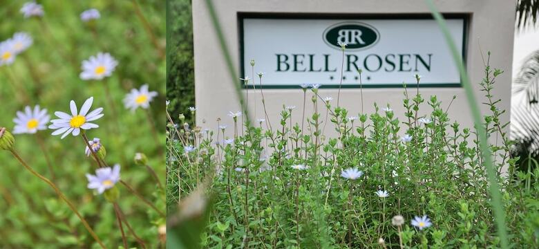 Bed & Breakfast Bell Rosen Guesthouse