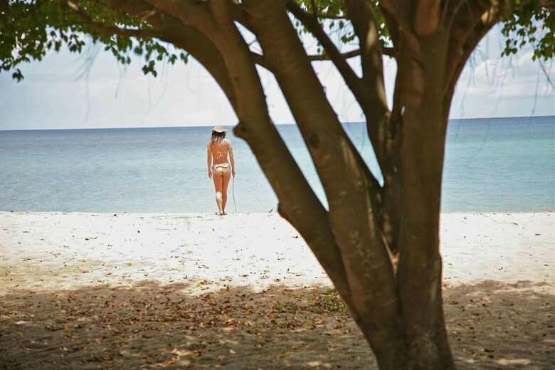 Hotel Montpelier Plantation & Beach