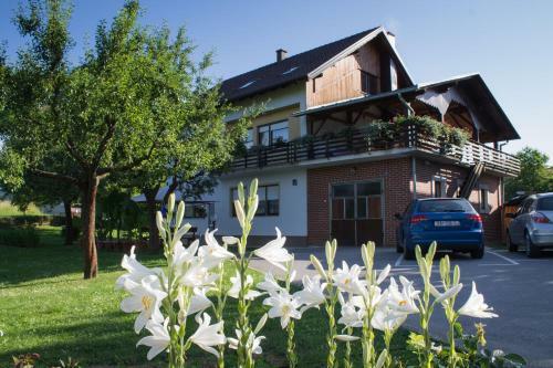 Hostal Rooms Marijana Obrovac