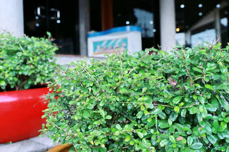 Krabi Royal Hotel