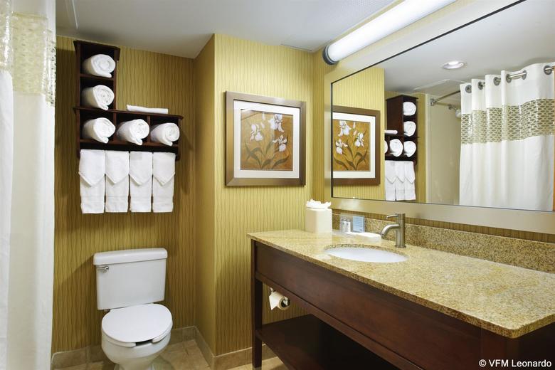 Hotel Hampton Inn Center City