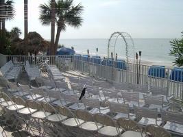 Hotel Doubletree Beach Resort By Hilton Tampa Bay