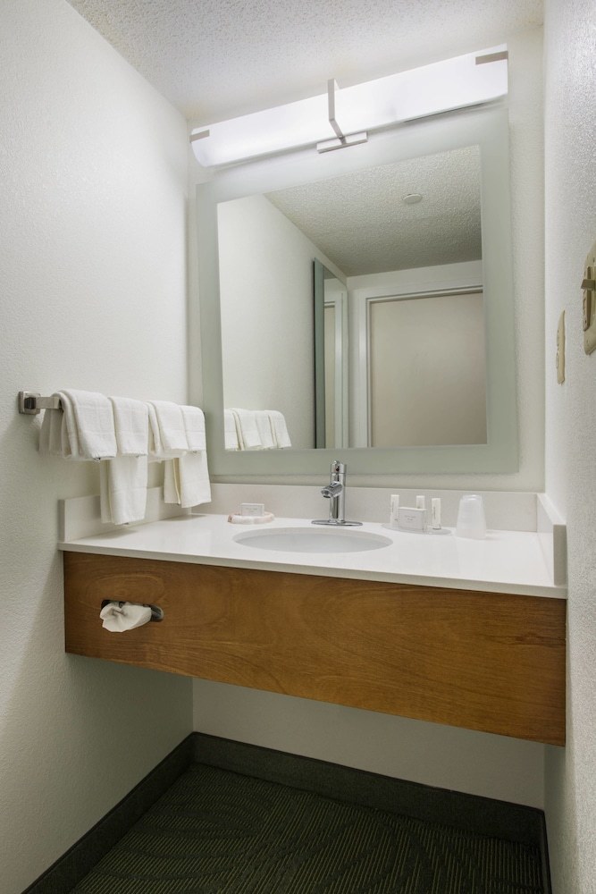 Hotel Springhill Suites By Marriott Williamsburg