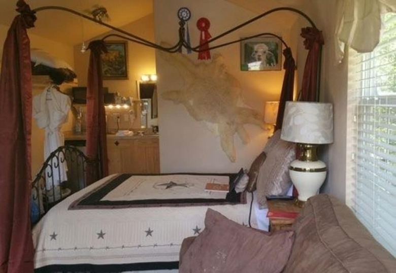 Bed & Breakfast Old Irish Bandb @ Patricks' Pastures Alpaca Ranch