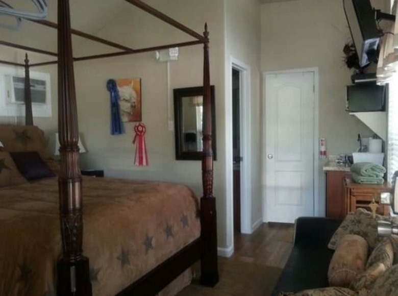 Bed & Breakfast Old Irish Bandb @ Patricks' Pastures Alpaca Ranch