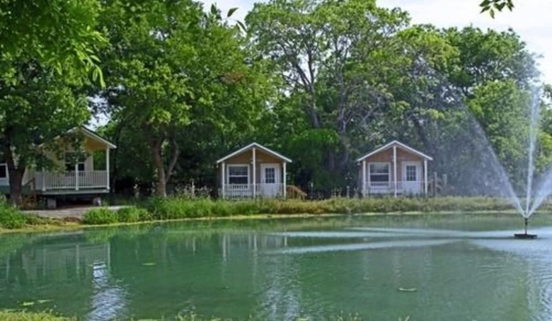 Bed & Breakfast Old Irish Bandb @ Patricks' Pastures Alpaca Ranch