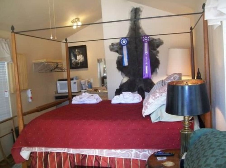 Bed & Breakfast Old Irish Bandb @ Patricks' Pastures Alpaca Ranch