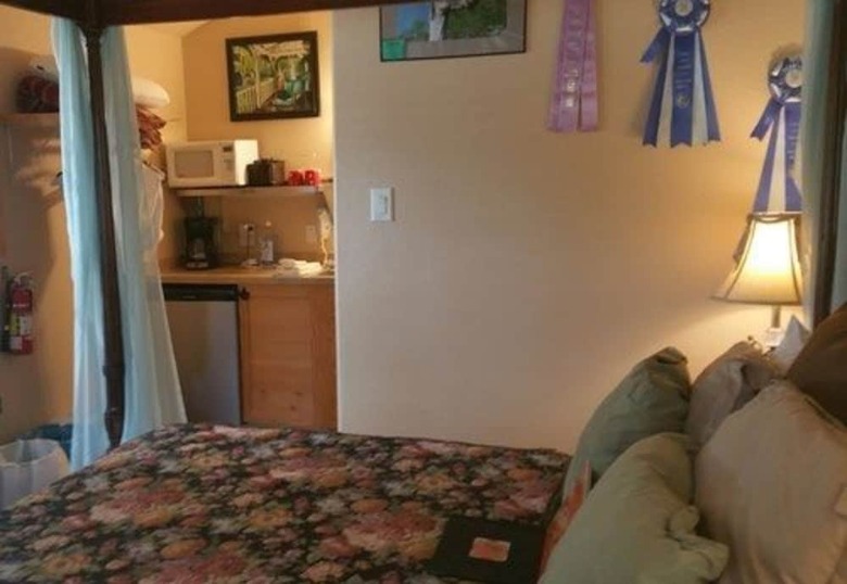 Bed & Breakfast Old Irish Bandb @ Patricks' Pastures Alpaca Ranch