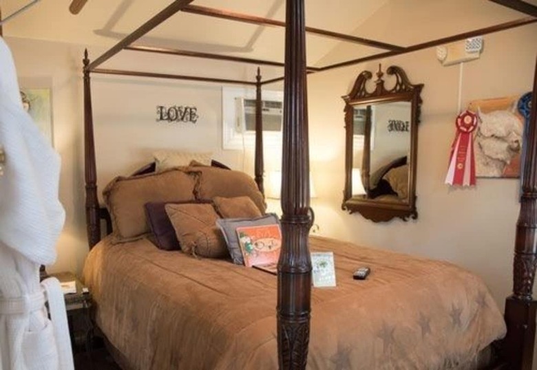 Bed & Breakfast Old Irish Bandb @ Patricks' Pastures Alpaca Ranch