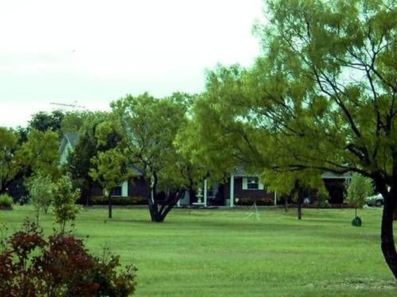 Bed & Breakfast Old Irish Bandb @ Patricks' Pastures Alpaca Ranch