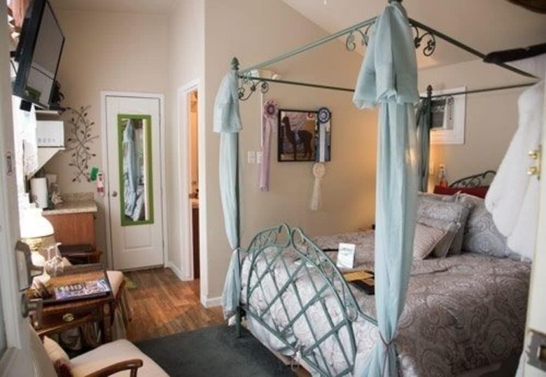 Bed & Breakfast Old Irish Bandb @ Patricks' Pastures Alpaca Ranch