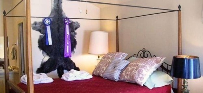 Bed & Breakfast Old Irish Bandb @ Patricks' Pastures Alpaca Ranch