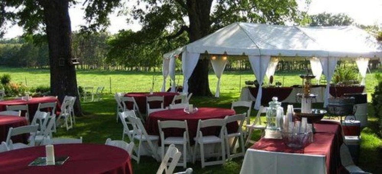 Bed & Breakfast Old Irish Bandb @ Patricks' Pastures Alpaca Ranch