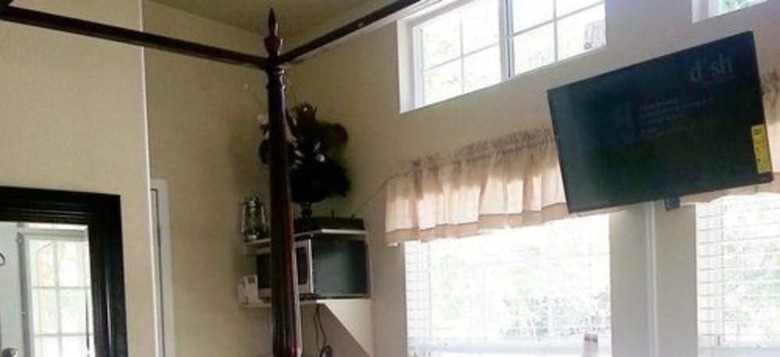 Bed & Breakfast Old Irish Bandb @ Patricks' Pastures Alpaca Ranch