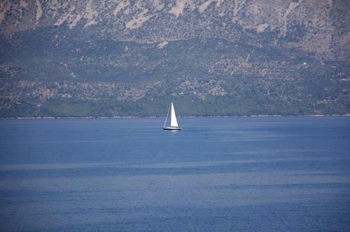 Apartamentos Cro Jet Set On The Beach